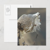 ムラサギ ポストカード (正面/裏面)