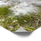 ムラサギ |蝶 | ポスター (角)