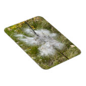 ムラサギ |蝶 |柔軟 マグネット (右側)