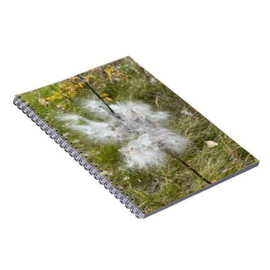 ムラサギ |蝶 |緩和曲線 ノートブック (右側)