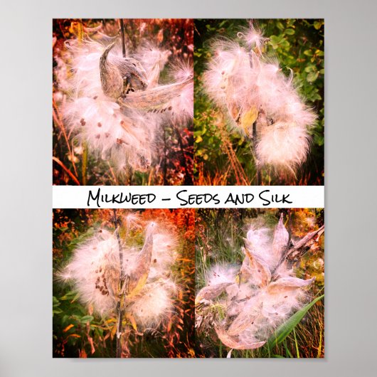 ムラサギ | Sangria ポスター (正面)