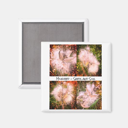 ムラサギ | Sangria マグネット (正面/裏面)