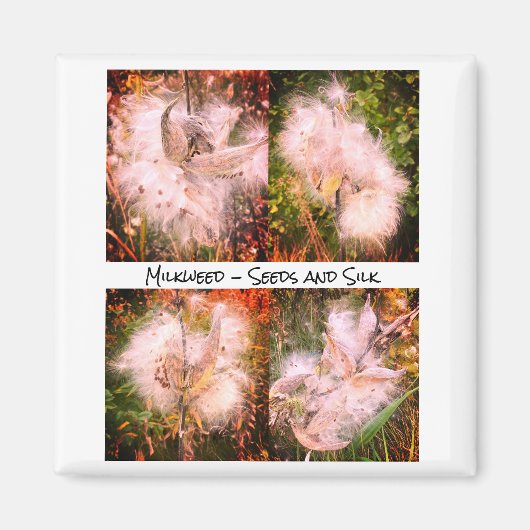 ムラサギ | Sangria マグネット (正面)