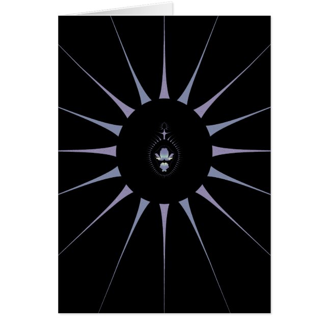 ムラサグモ (正面)