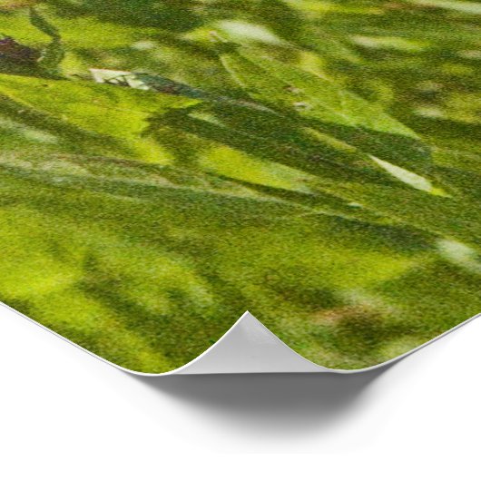 ムラサミ ポスター (角)