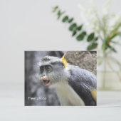 ムリ色のオオカミ ポストカード (スタンド正面)