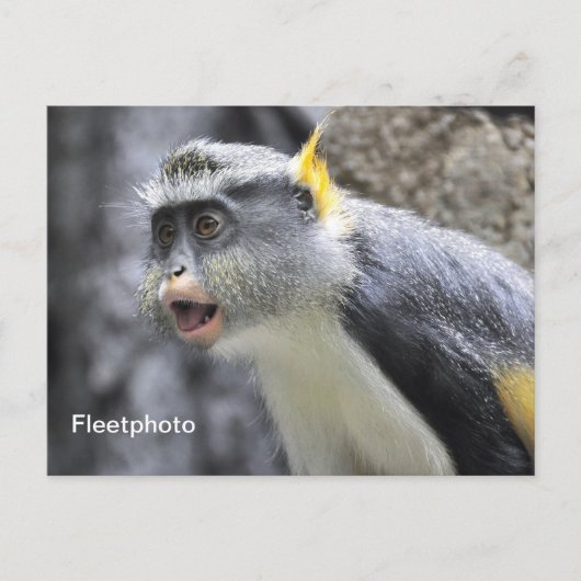 ムリ色のオオカミ ポストカード (正面)