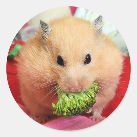 ムルカとブロッコリー ラウンドシール (正面)