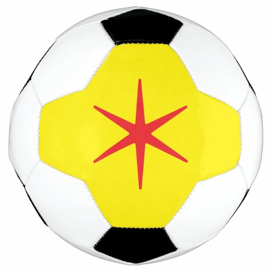 ムルギスポーツ&アウトドアズクリムゾンスター サッカーボール (正面)