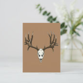 ムルディアスカル ポストカード (スタンド正面)