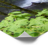 ムルトノマの滝 ポスター (角)