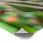 ムルベリーブランチ ポスター (角)