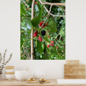 ムルベリーブランチ ポスター (キッチン)