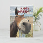 ムレおもしろい誕生日アニマルカー実在ド耳 シーズンカード (スタンド正面)