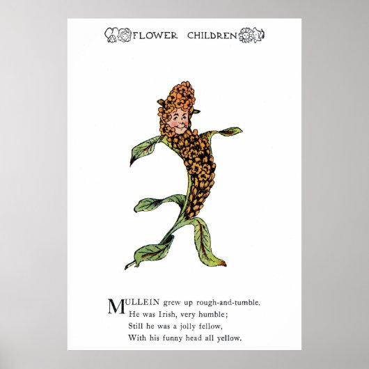 ムレイン ポスター (正面)