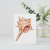 ムレックスイラストレーション ポストカード (スタンド正面)