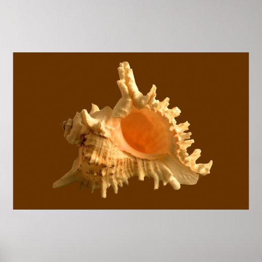 ムレックスラモス ポスター (正面)