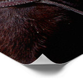 ムレツーソーム ポスター (角)