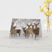 ムレディアワイオミング カード (黄色い花)