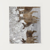 ムレディアワイオミング タペストリー (正面)