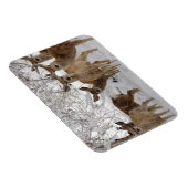 ムレディアワイオミング マグネット (右側)