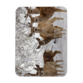 ムレディアワイオミング マグネット (縦)