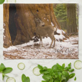 ムレディア キッチンタオル (折り畳み)