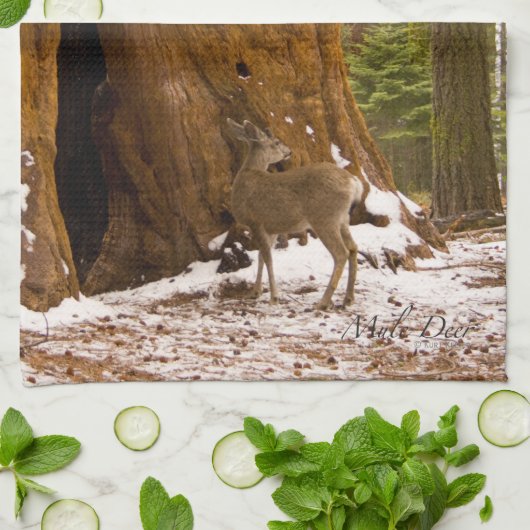 ムレディア キッチンタオル (折り畳み)