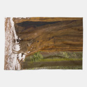 ムレディア キッチンタオル (横)