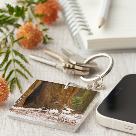 ムレディア キーホルダー (正面右)