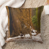 ムレディア クッション (ブランケット)