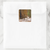 ムレディア スクエアシール (バッグ)