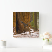 ムレディア スクエア壁時計 (ホーム)