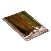 ムレディア ノートブック (右側)