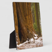 ムレディア フォトプラーク (側面)