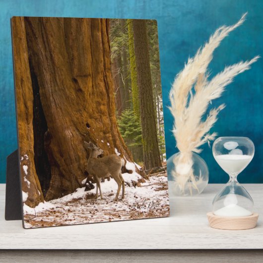 ムレディア フォトプラーク (側面)