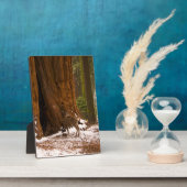 ムレディア フォトプラーク (側面)