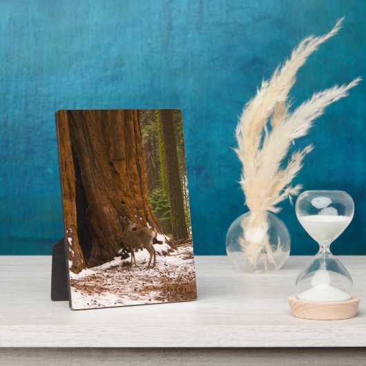 ムレディア フォトプラーク (側面)