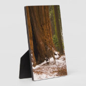 ムレディア フォトプラーク (側面)