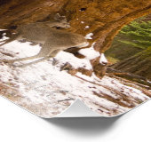 ムレディア フォトプリント (角)