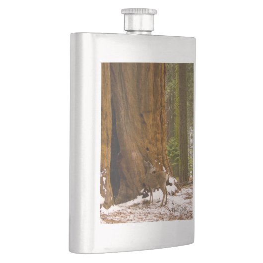 ムレディア フラスク (右)