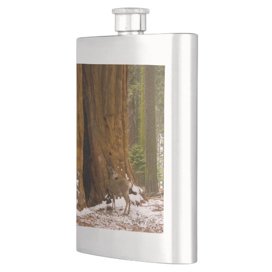 ムレディア フラスク (左)