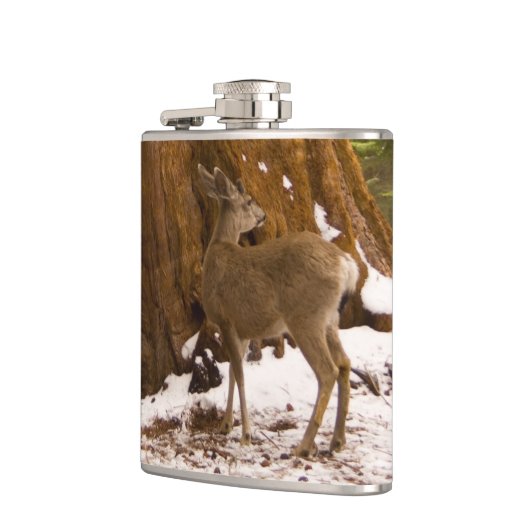 ムレディア フラスク (左)