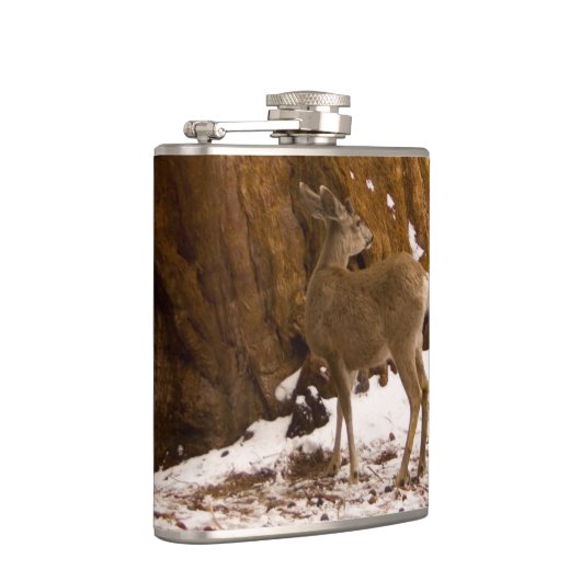 ムレディア フラスク (右)