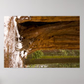 ムレディア ポスター (正面)