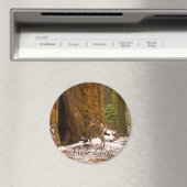 ムレディア マグネット (インサイチュ (食洗機))