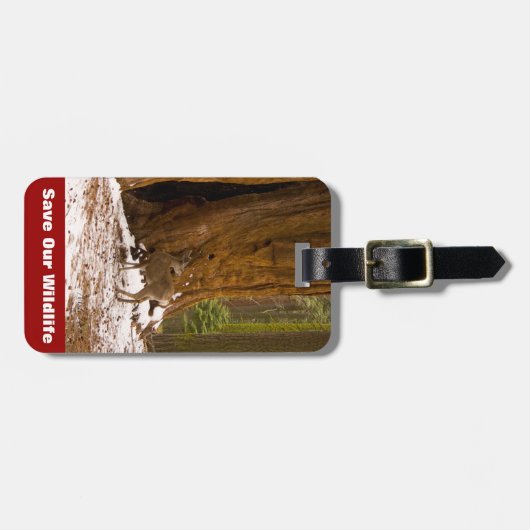 ムレディア ラゲッジタグ (正面横)