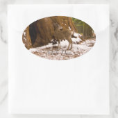 ムレディア 楕円形シール (バッグ)