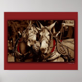 ムレ話 ポスター (正面)