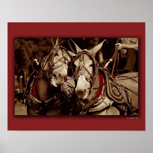 ムレ話 ポスター (正面)